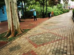 -黄村公园