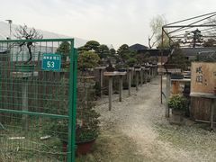 -龙大花卉苗木市场