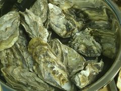 -爱蚝屋