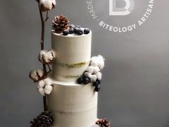 -Biteology Artisan Cakes(红庄·国际文化保税创新园店)