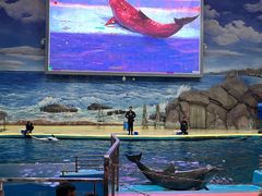 -福州罗源湾海洋世界旅游区