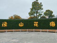 -径山花海