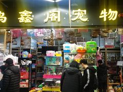 -大自然花鸟鱼虫市场