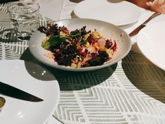 -一棵树·意大利西餐厅One Tree(新城店)