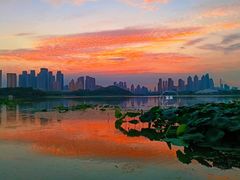 -古琴台