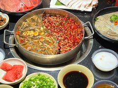-矮板凳老火锅(宽窄巷子店)
