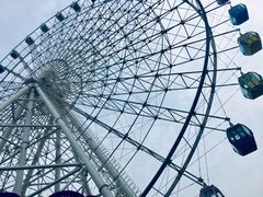 -琴岛之星摩天轮