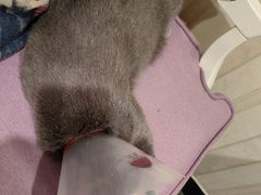-美联众合动物医院·24h转诊中心