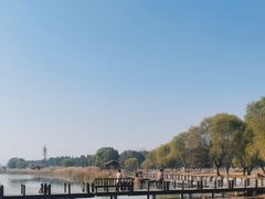 -苏州太湖湖滨国家湿地公园