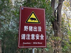-紫金山山顶公园