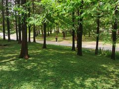 -贵阳市花溪国家城市湿地公园