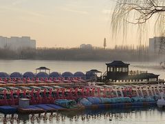 -大兴滨河森林公园