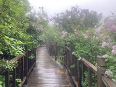 -野三坡百草畔景区