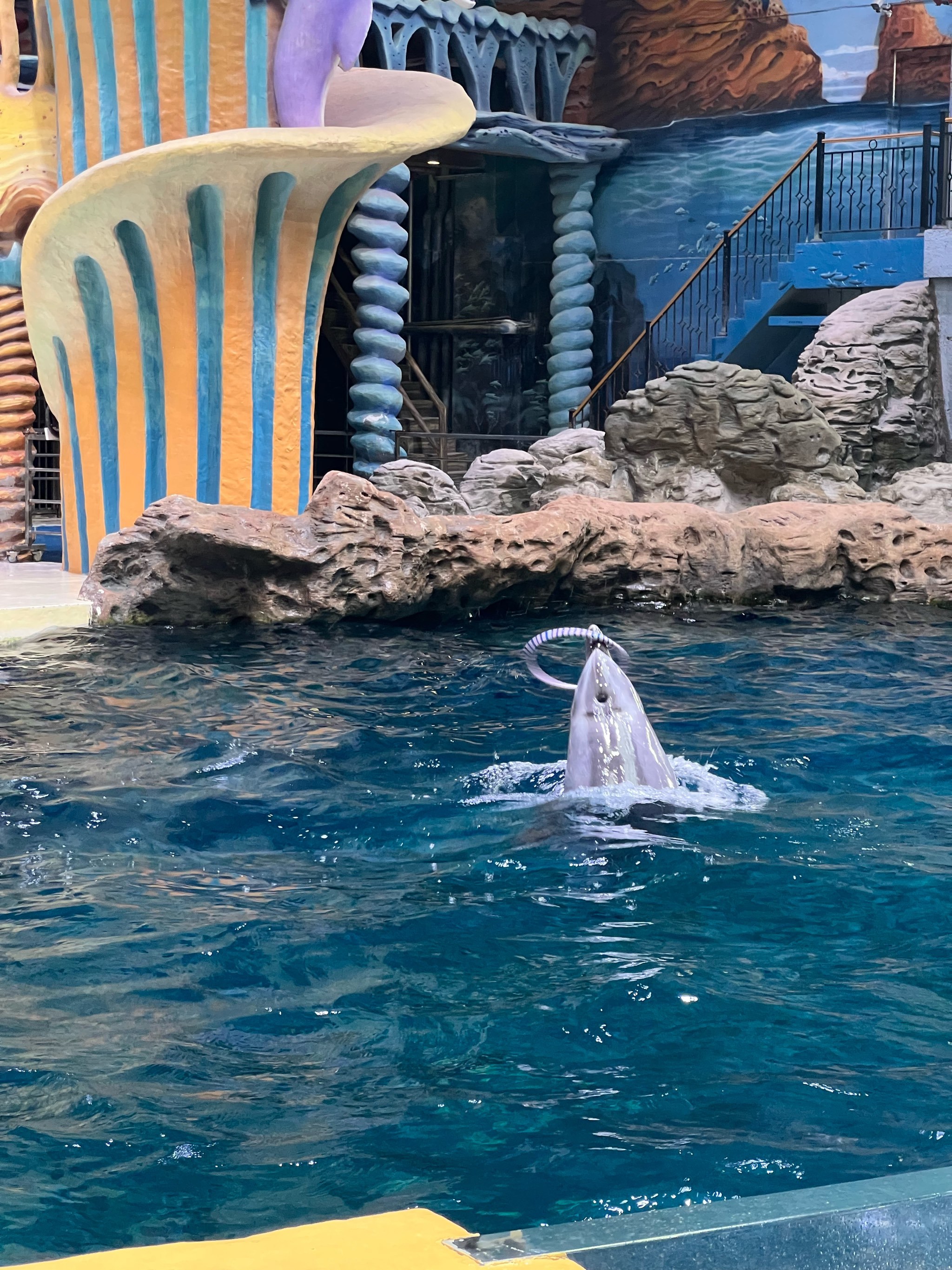 亲子游天花板!海洋奇幻之旅