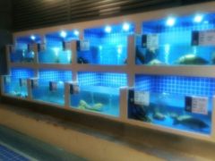 水产区-大理实力希尔顿酒店御璽中餐厅YUXI – CHINESE RESTAURANT