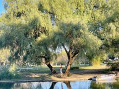 -上海共青森林公园