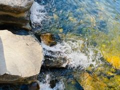 -渡海小渔村.老辈日照菜