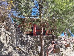 -北京鹫峰国家森林公园