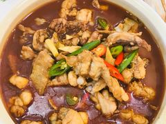 -椿记烧鹅(叠彩店)