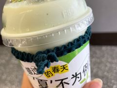 -茉酸奶(春熙路店)