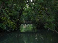 -青枫公园