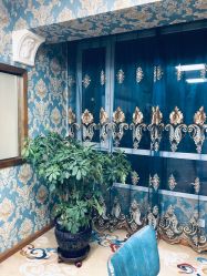 -阿茹娜美容会馆