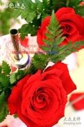 美雯苏宁卢浮宫-苏宁环球套房饭店·宴会厅