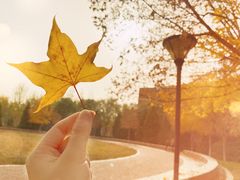 -首都师范大学(良乡校区)