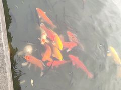 -上海大学(宝山校区)