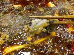 -老船夫石锅苗苗鱼·老字号(三道堰总店)