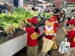-徐汇区陇龙幼稚园
