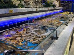 -川骄海鲜自助(河东店)