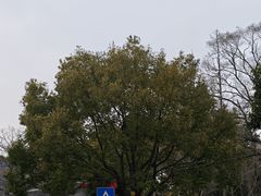 -川流不息·地道川菜·小龙虾(新松江路店)