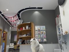 -关爱宠物医院·猫科中心·消化科(滨湖万达分院)
