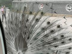 -北京麋鹿生态实验中心