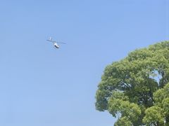 -上海月湖雕塑公园