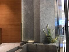 -代数学家algebraist(苏州中心店)
