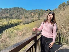 -敬亭山风景名胜区