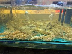 -乐在集市海鲜大排档(平潭店)