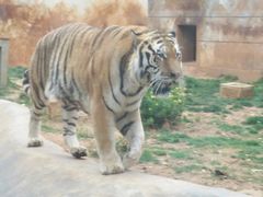 -昆明动物园