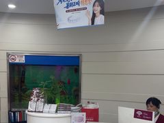 -雅悦齿科(顾村公园店)