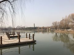 -祥源·阜阳生态乐园