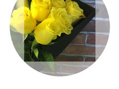 -王尔德与花