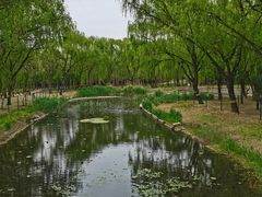 -古塔公园