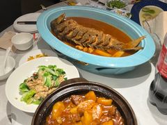-阿五黄河大鲤鱼(英协路店)