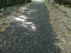 -苏州环秀晓筑养生度假村