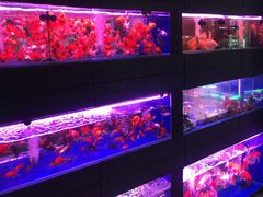 -三旗百汇商品城