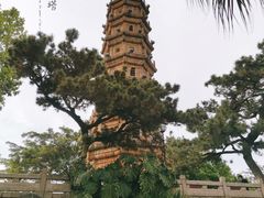 -船政文化景区-罗星塔公园