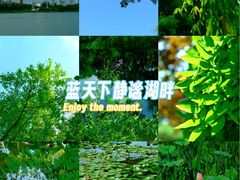 -金银湖国家城市湿地公园