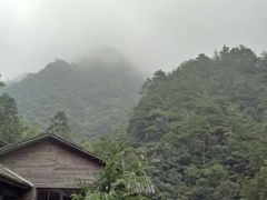 -花岩国家森林公园